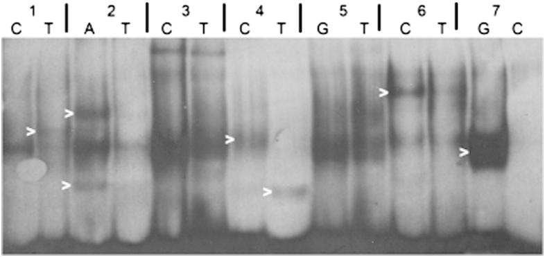 Figure 4