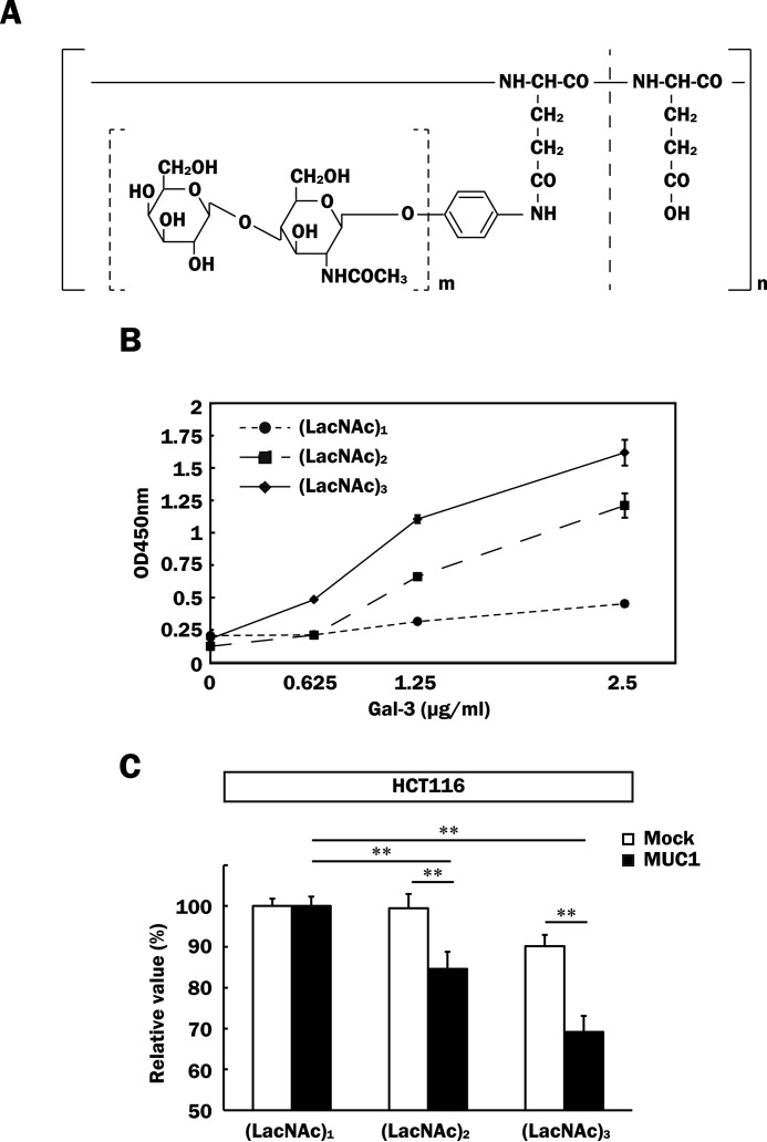 FIGURE 11.