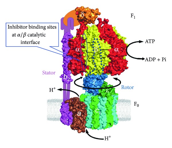 Figure 1