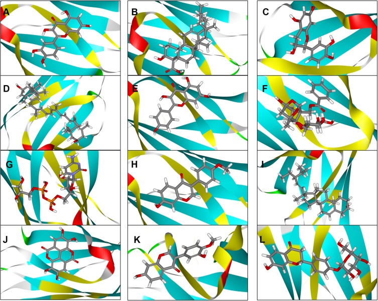 Figure 7