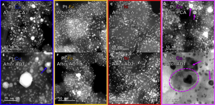 Figure 6