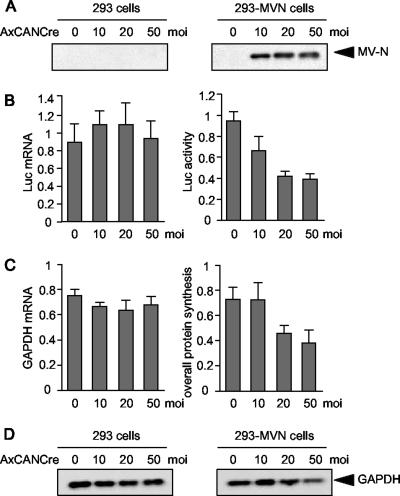 FIG. 6.