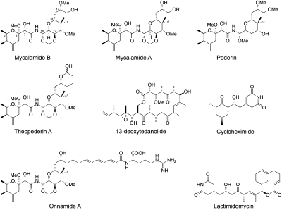 FIGURE 1.