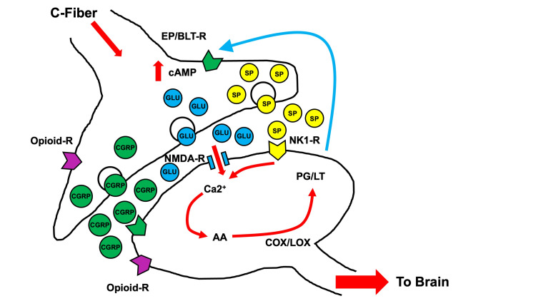 Figure 2