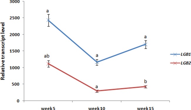 Fig 3