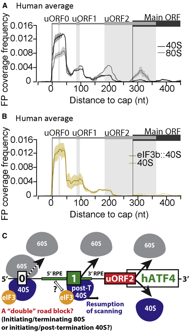 Figure 6