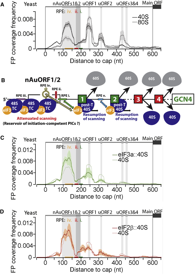 Figure 5