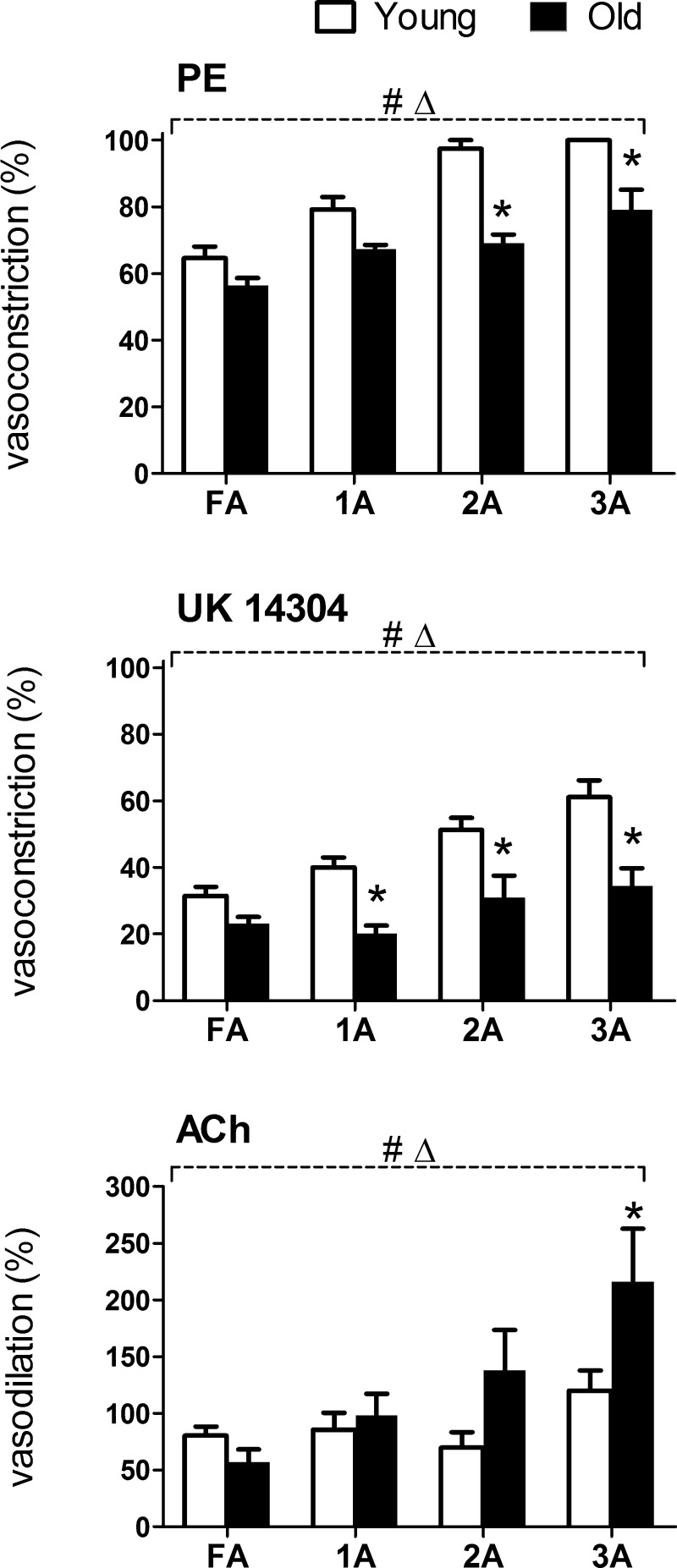 Fig. 8.