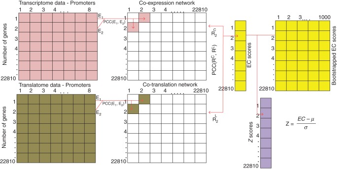 Fig. 2.