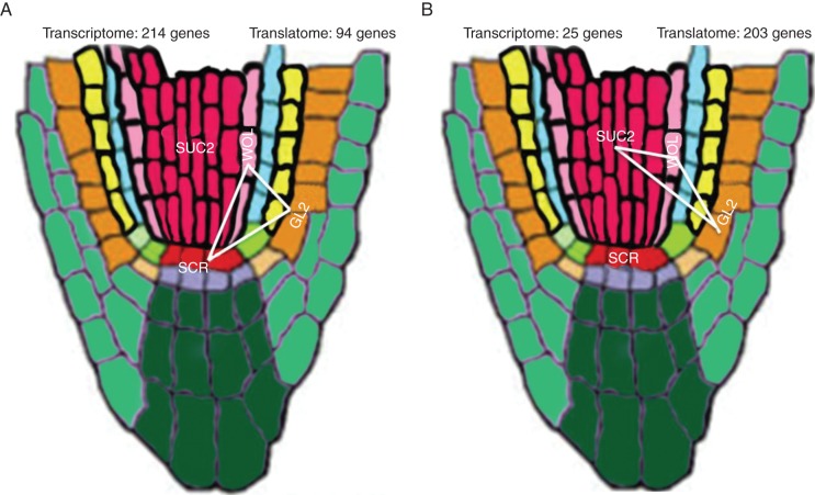 Fig. 9.