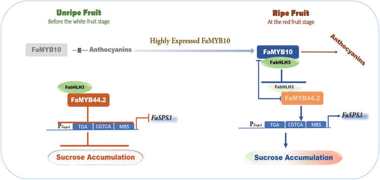 Fig. 10.