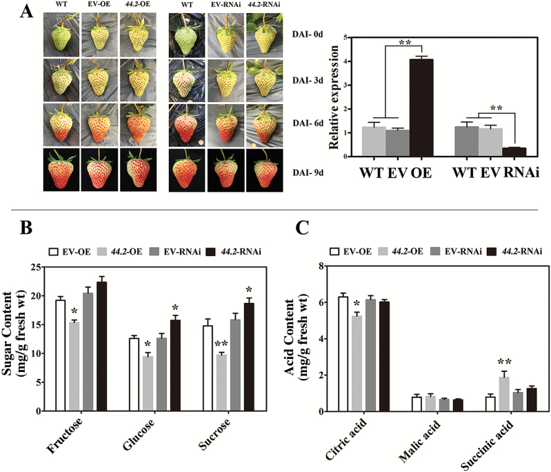 Fig. 3.
