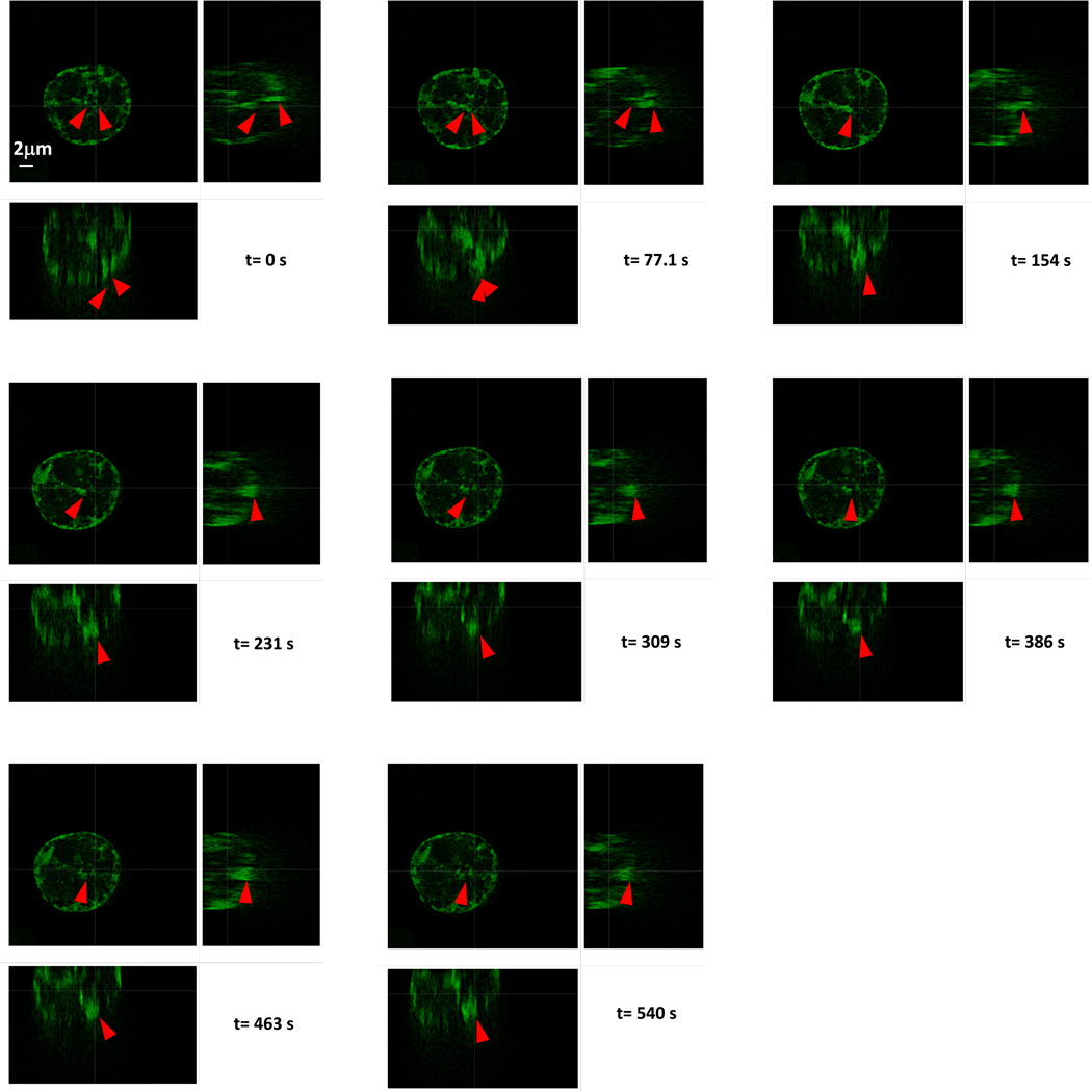 Extended Data Fig. 8