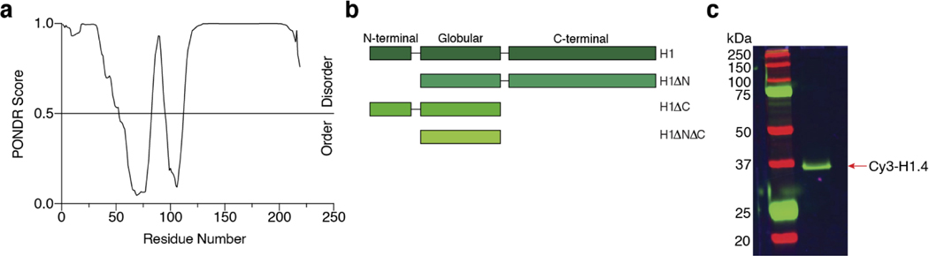 Extended Data Fig. 1