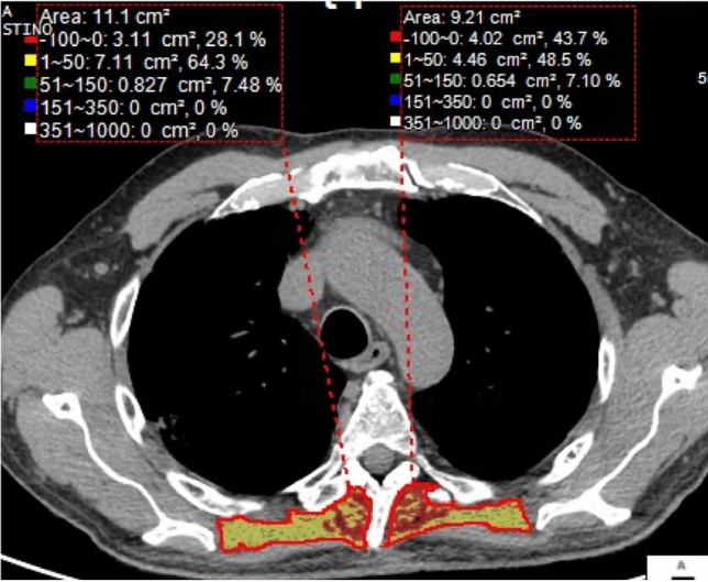 Fig. 5