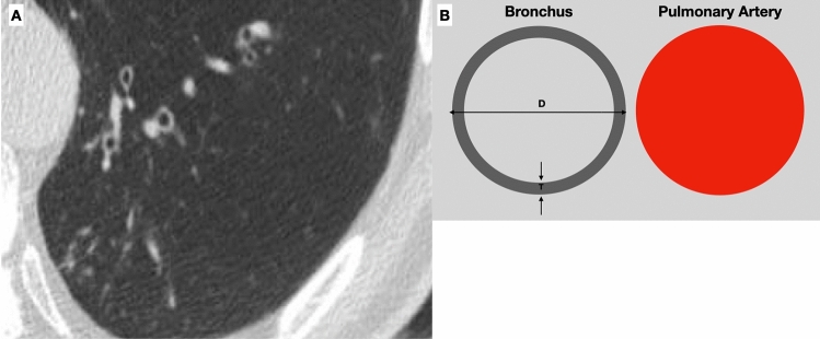 Fig. 8