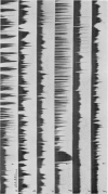 244-2