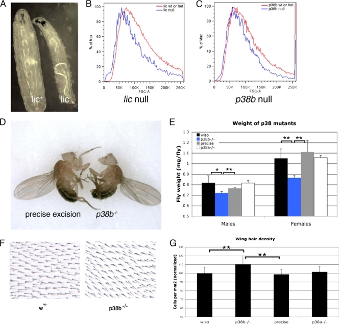 FIG. 8.