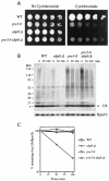 FIG. 5.