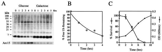 FIG. 6.