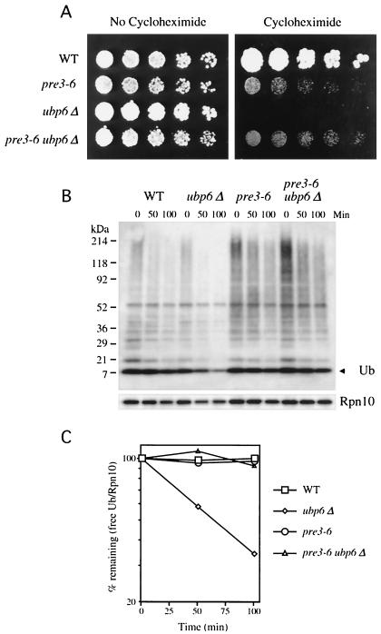 FIG. 5.