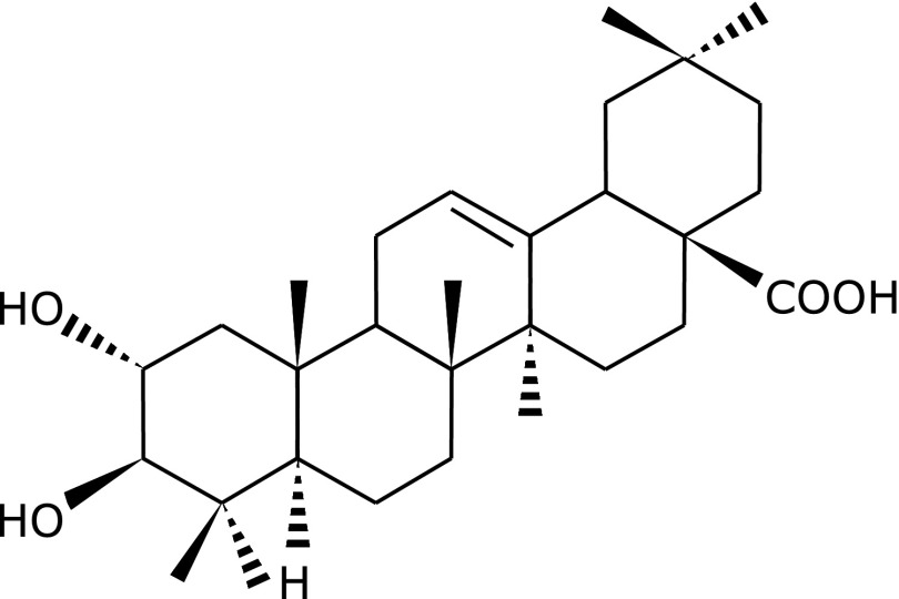 Fig. 1