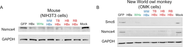 FIG 6