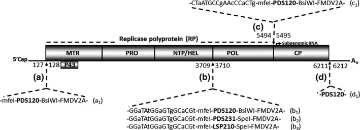 FIGURE 1