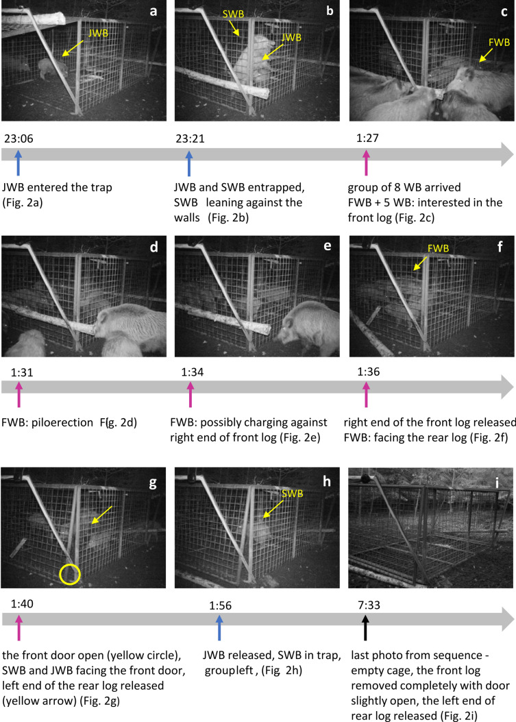 Figure 2﻿