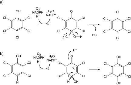 FIG. 8.—