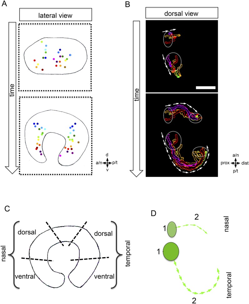 Figure 3.