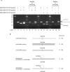 FIG 6