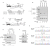 FIG 5