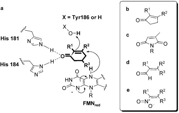 Scheme 1