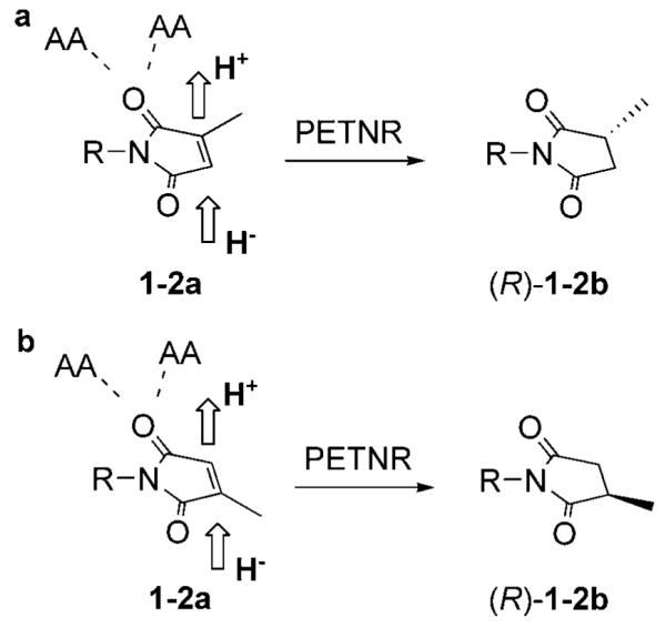 Scheme 2