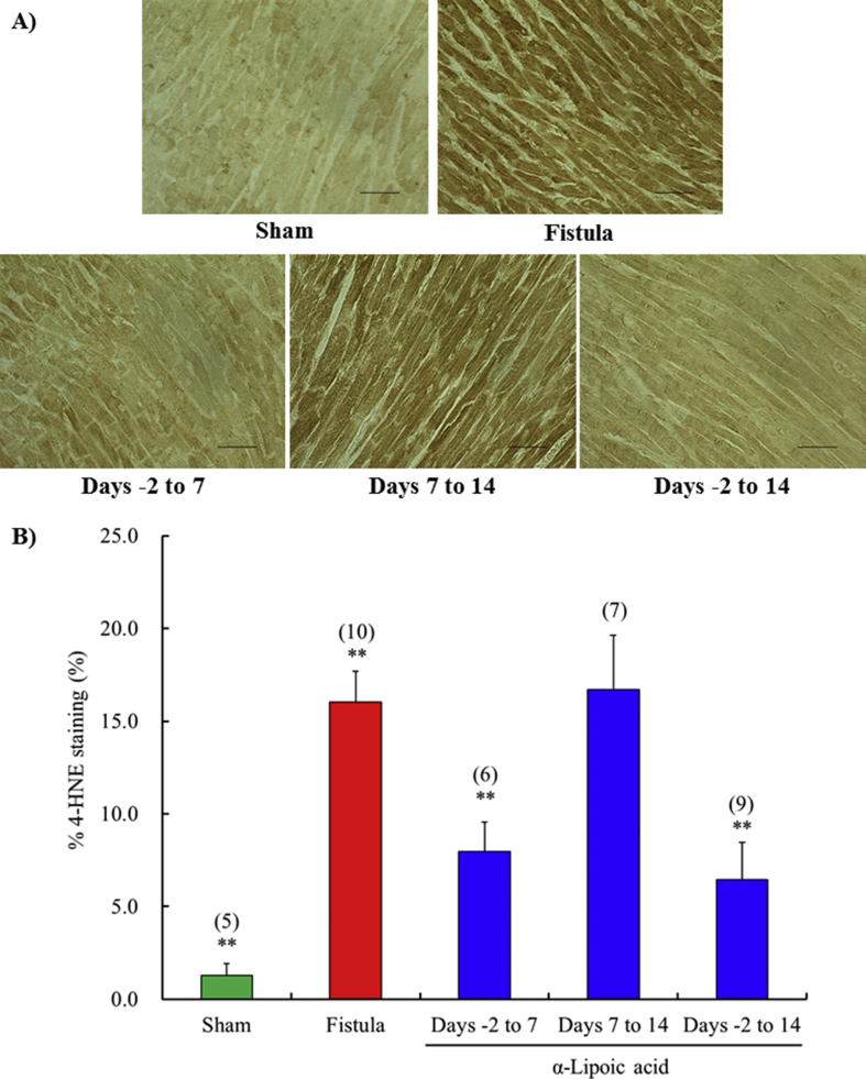 Fig. 6