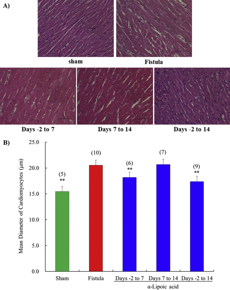 Fig. 4