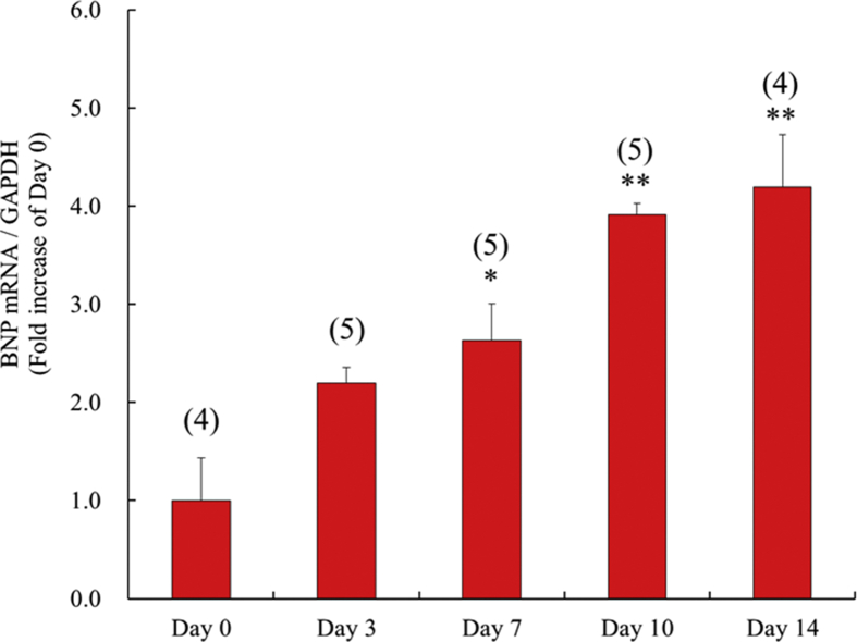 Fig. 3