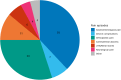 PIE CHART 1