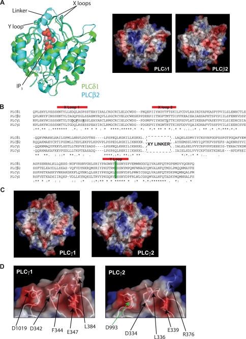 FIGURE 1.