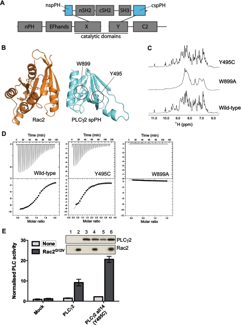 FIGURE 4.