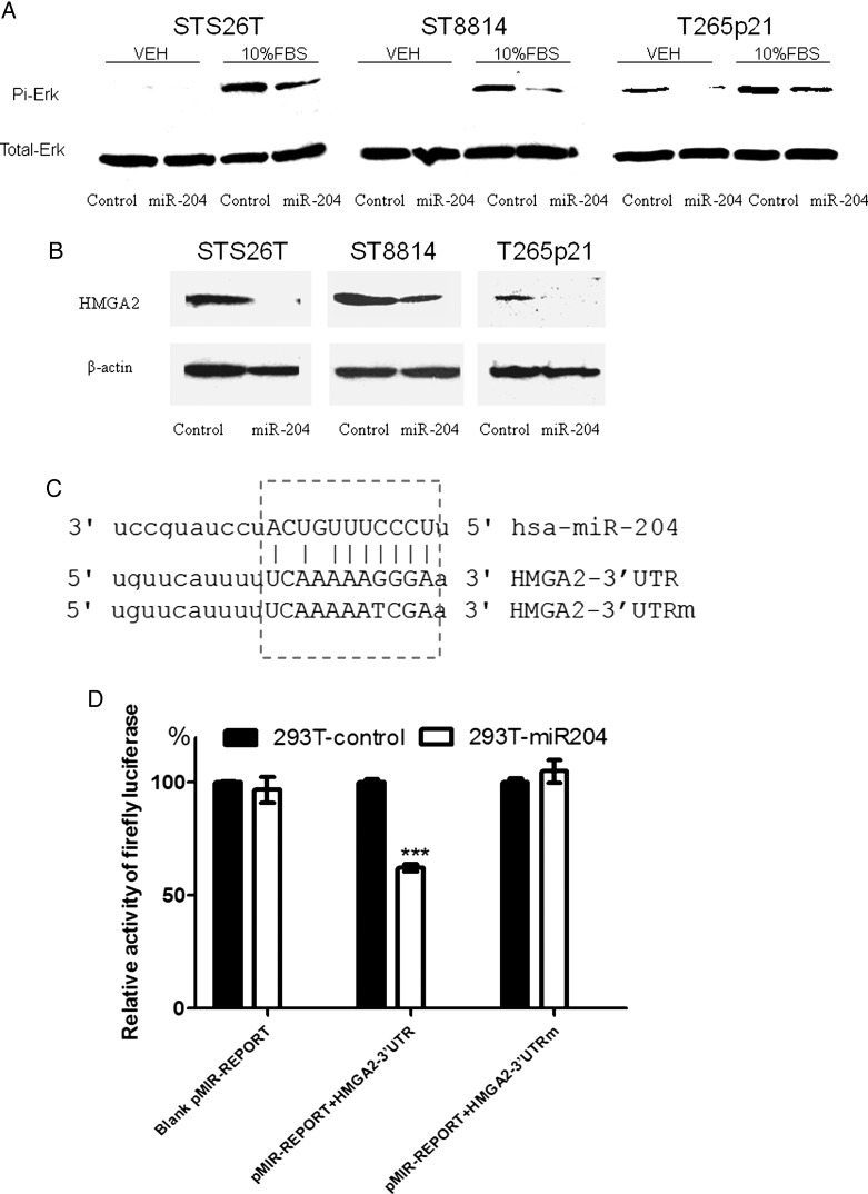 Fig. 6.