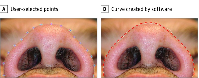 Figure 3. 