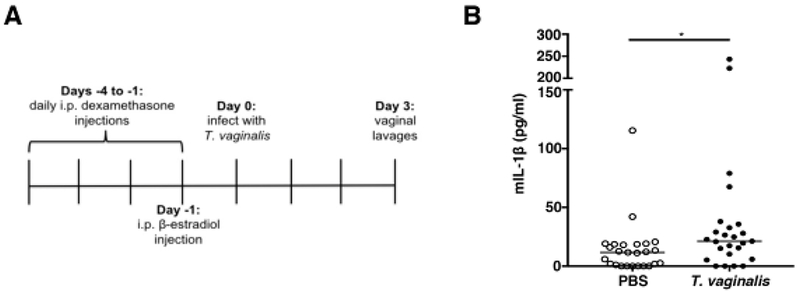 Fig. 5: