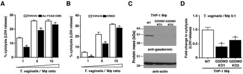 Fig. 4: