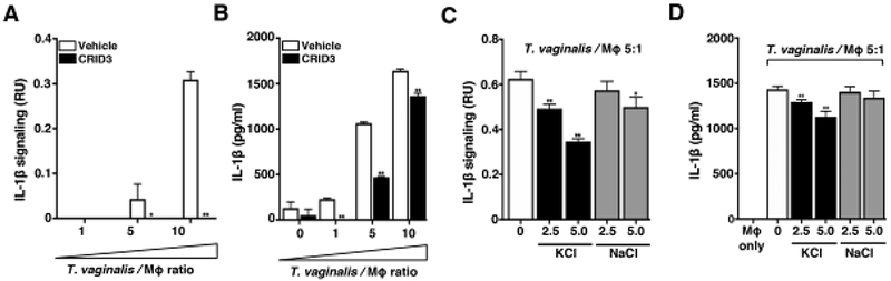 Fig. 2: