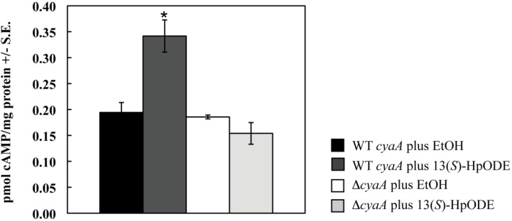 Figure S1