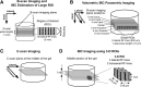 <b>FIG. 2.</b>