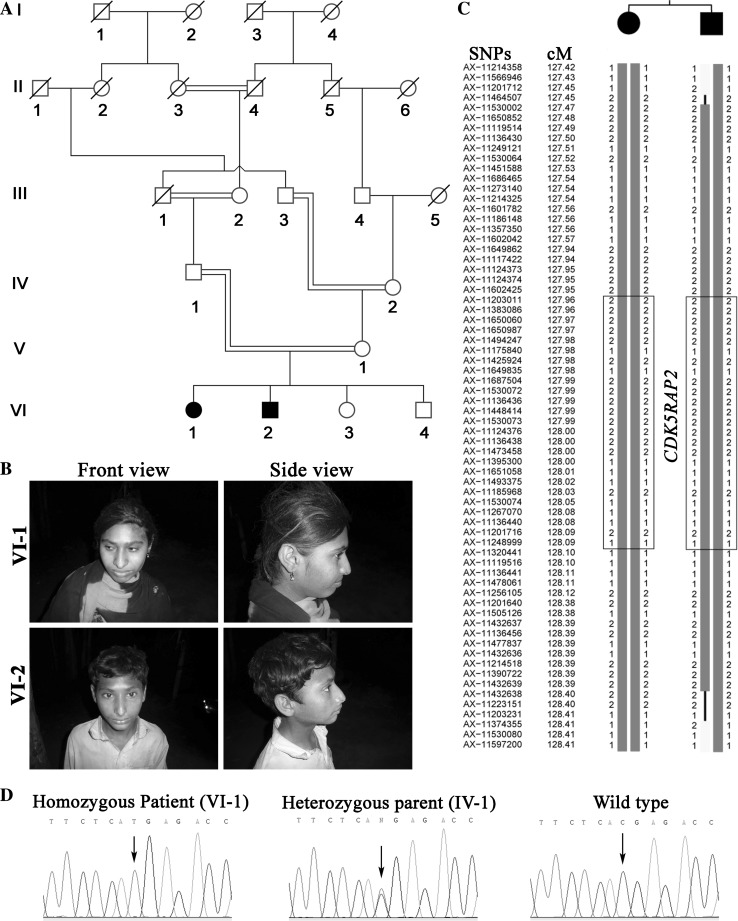 Fig. 1