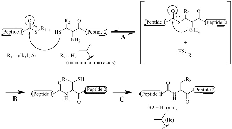 Scheme 2